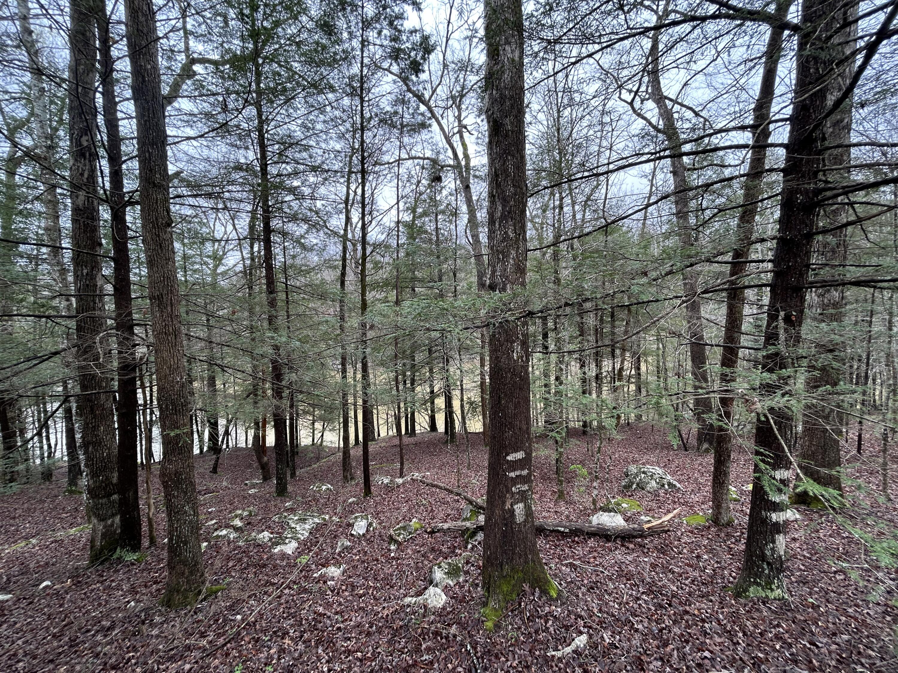 93 Traveler Road Somerset, KY 42501 - Photo 23 of 59 IMG_1401