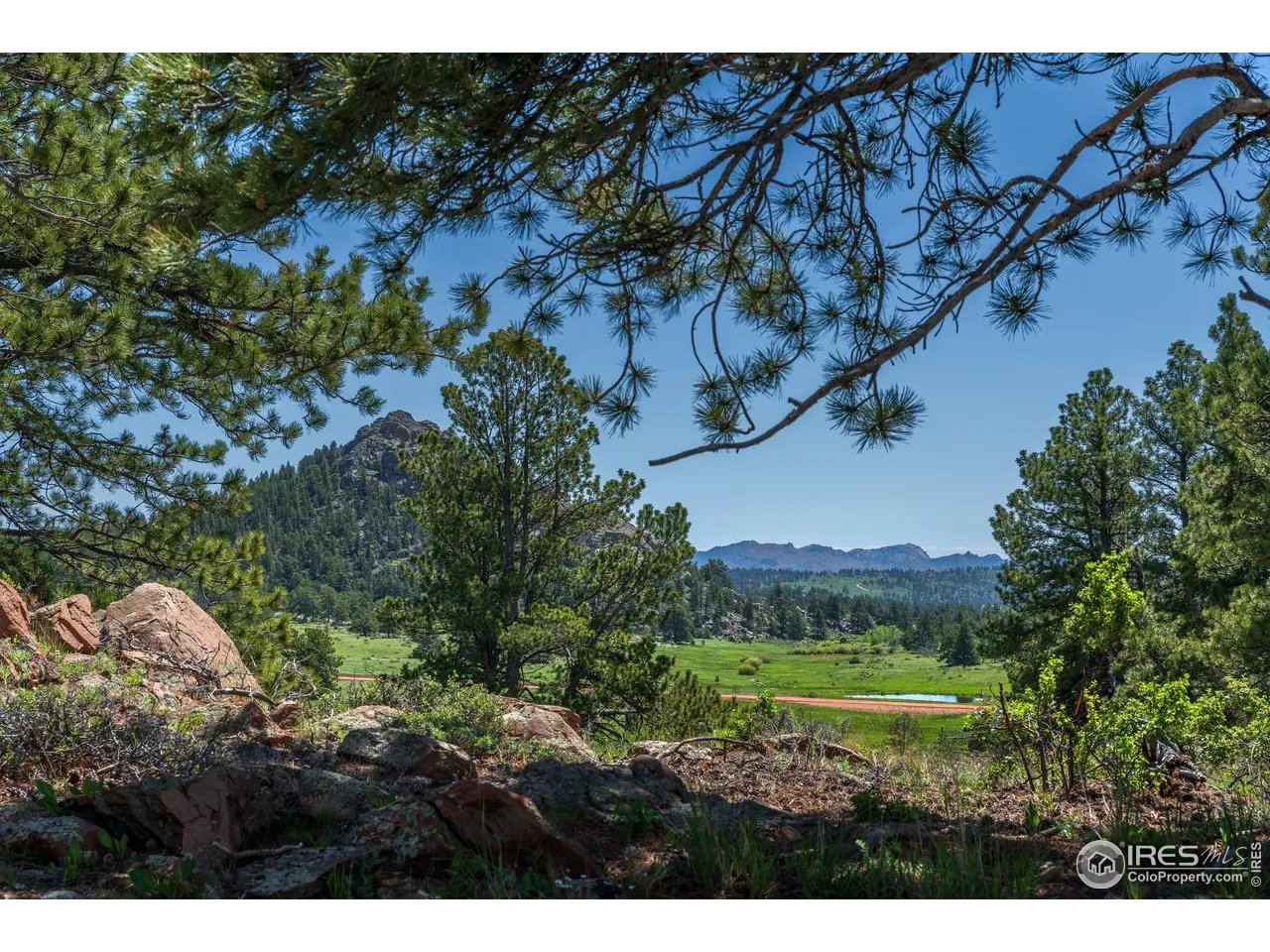 Legacy Rock Road Livermore, CO 80536 - Photo 8 of 11 a view of a and yard