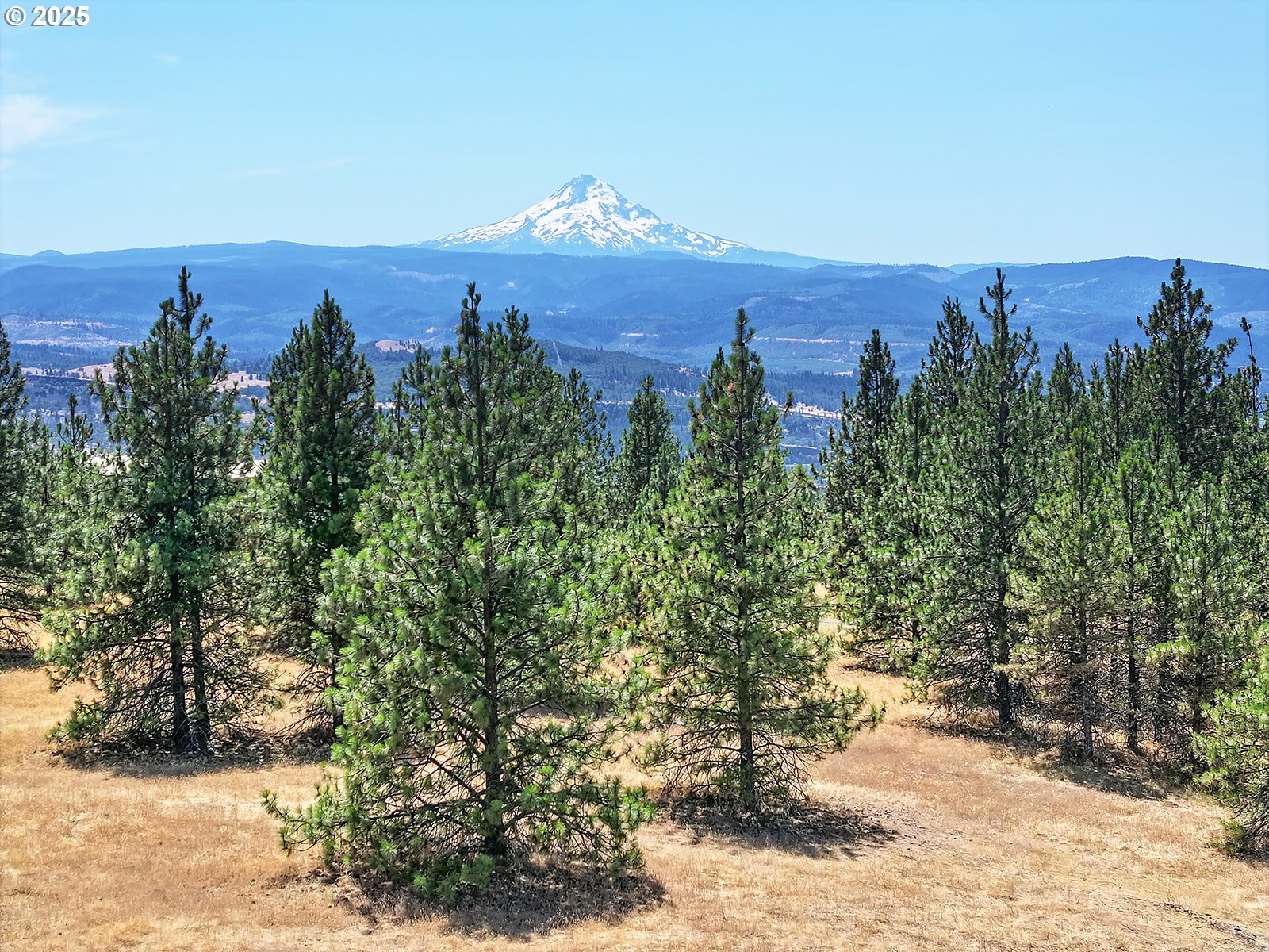 4 Murdock Avenue Lyle, WA 98635 - Photo 2 of 33