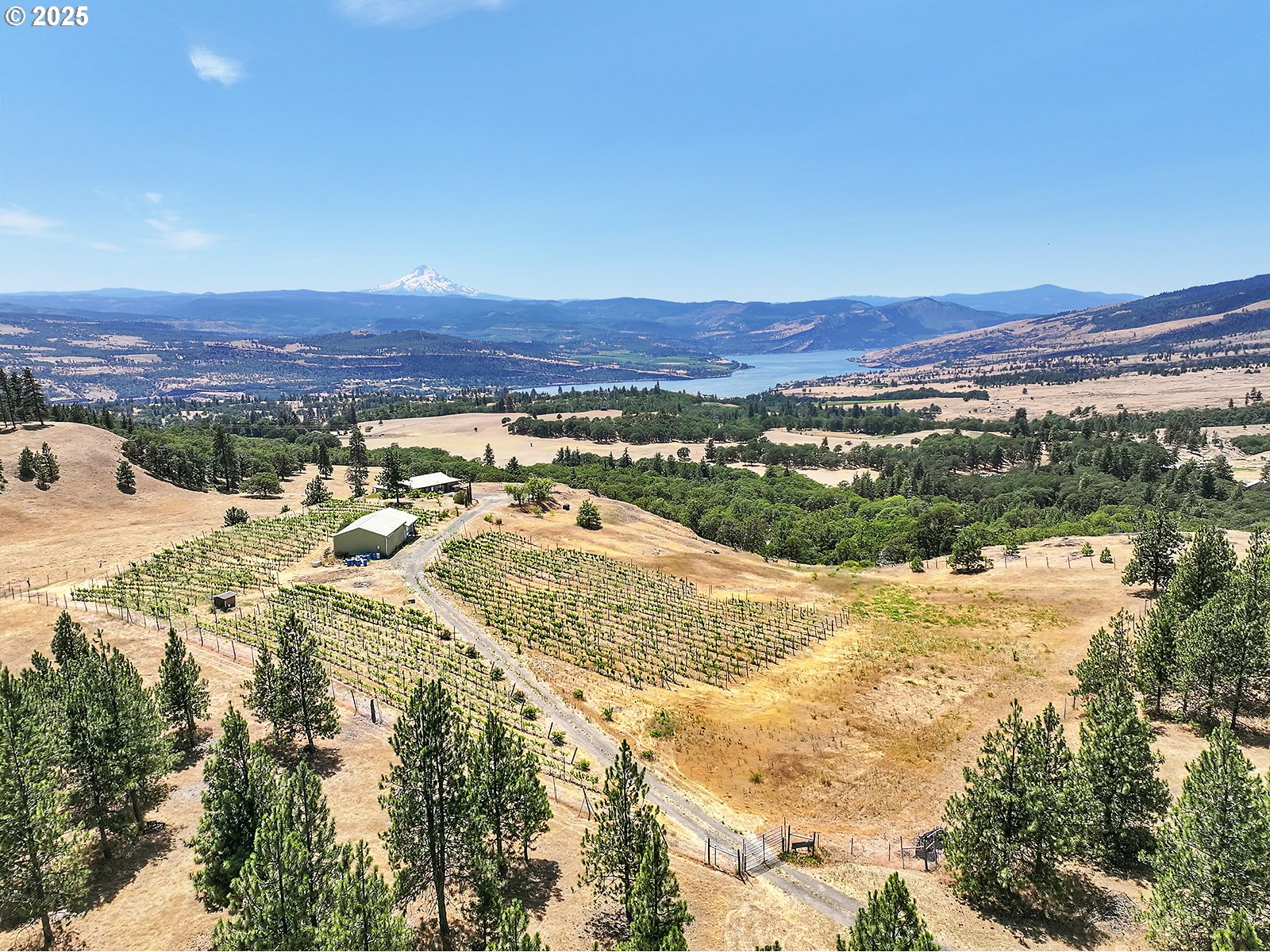 4 Murdock Avenue Lyle, WA 98635 - Photo 31 of 33