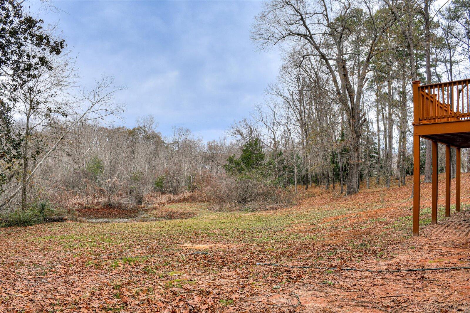 310 Spring Valley Road Waynesboro, GA 30830 - Photo 43 of 48 46-146
