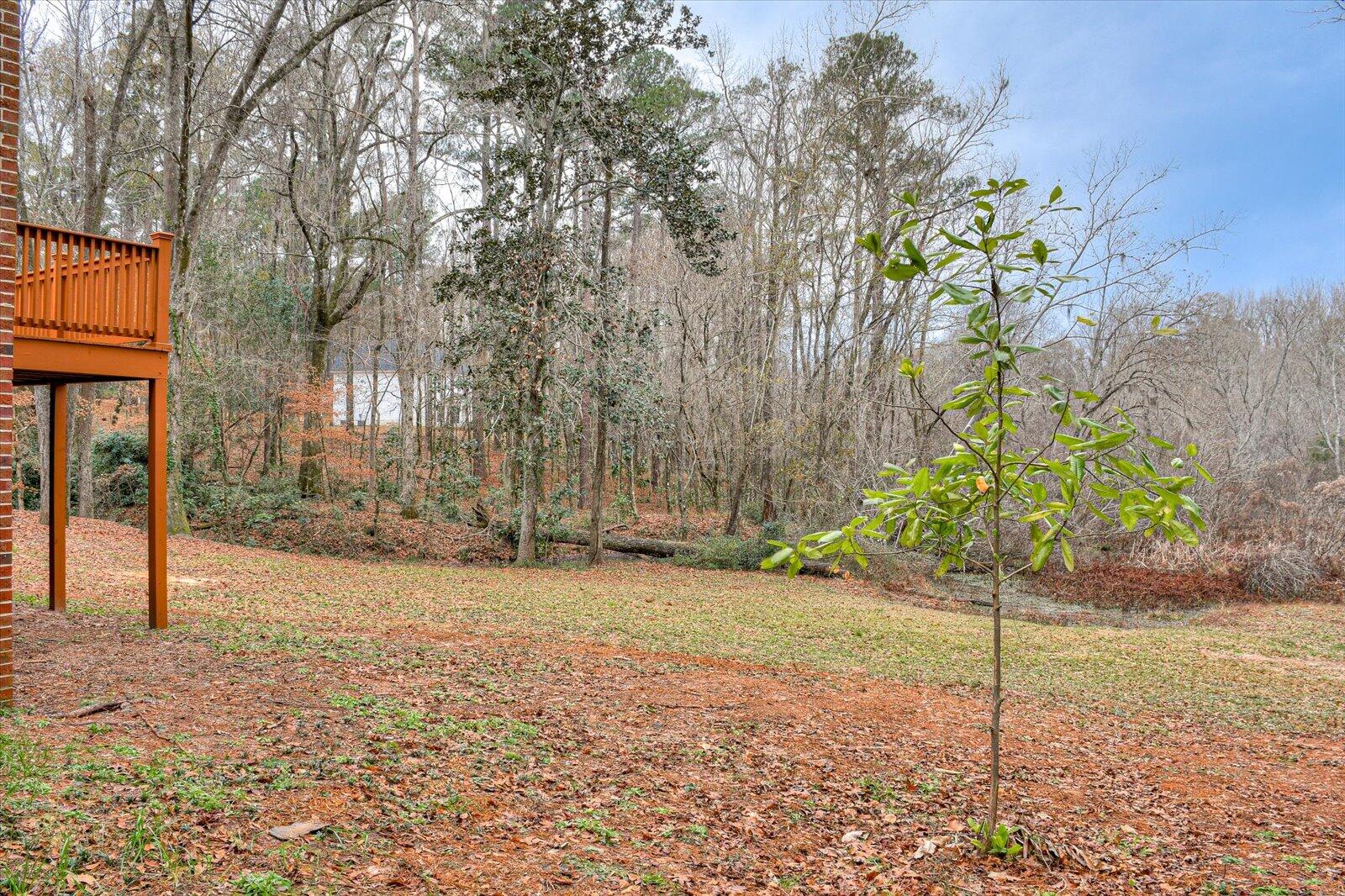 310 Spring Valley Road Waynesboro, GA 30830 - Photo 46 of 48 50-150