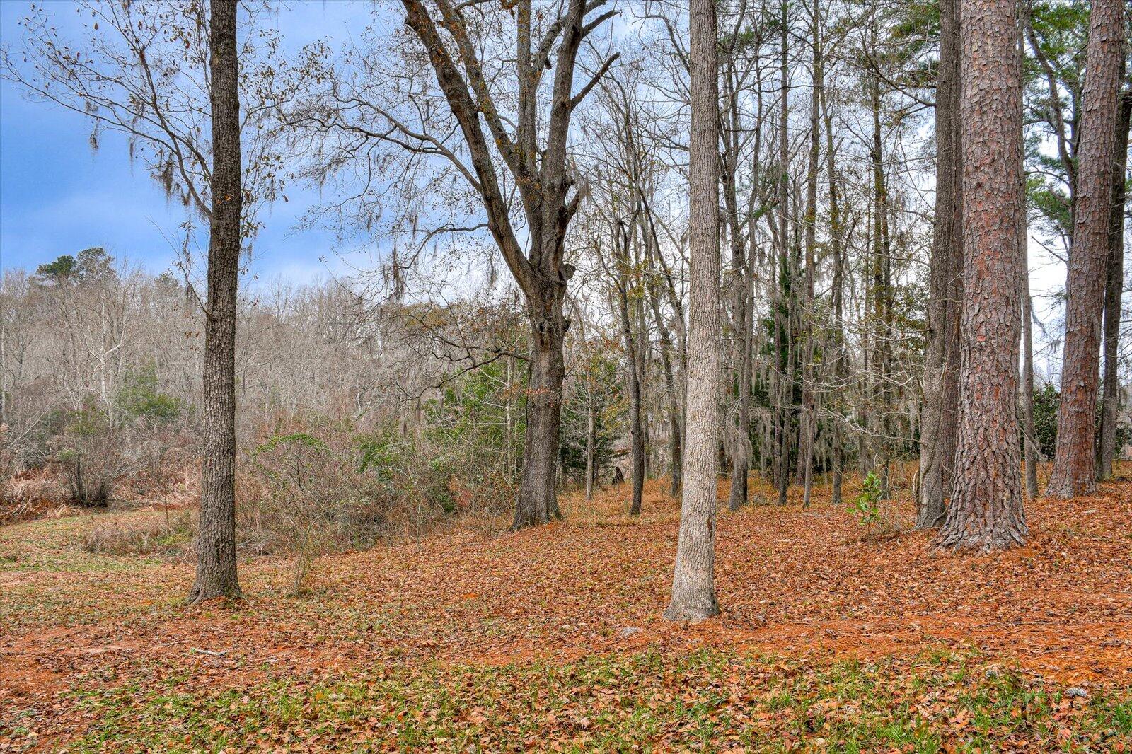 310 Spring Valley Road Waynesboro, GA 30830 - Photo 47 of 48 51-151