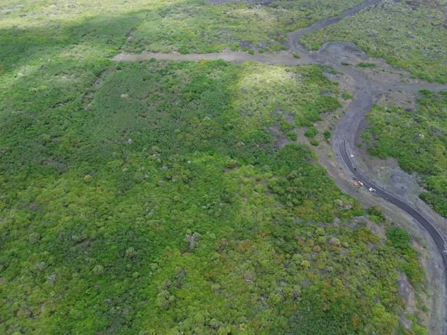 a view of a large yard with lots of green space