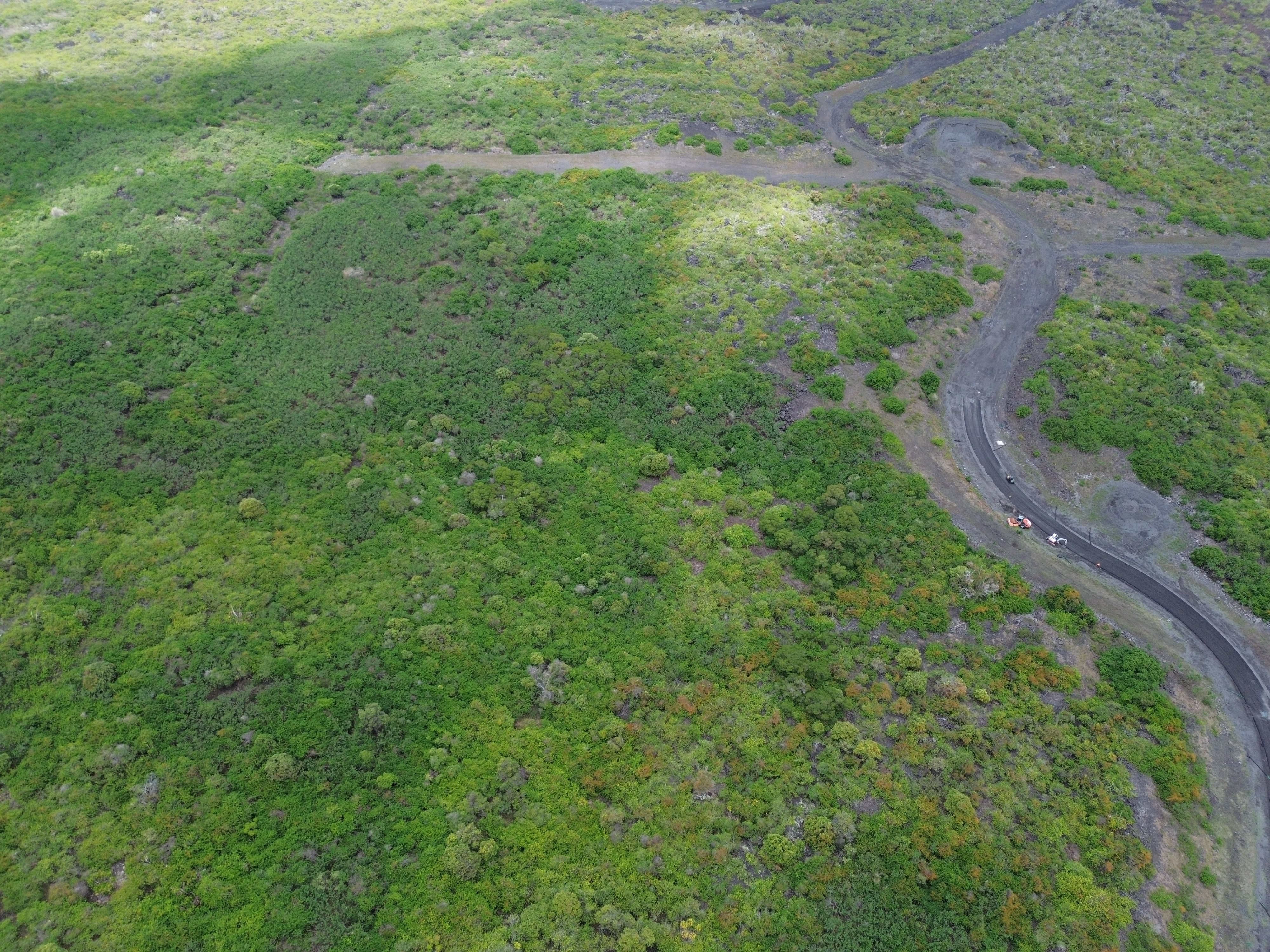 a view of a large yard with lots of green space