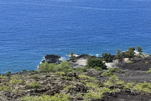 a view of a plants and an outdoor space