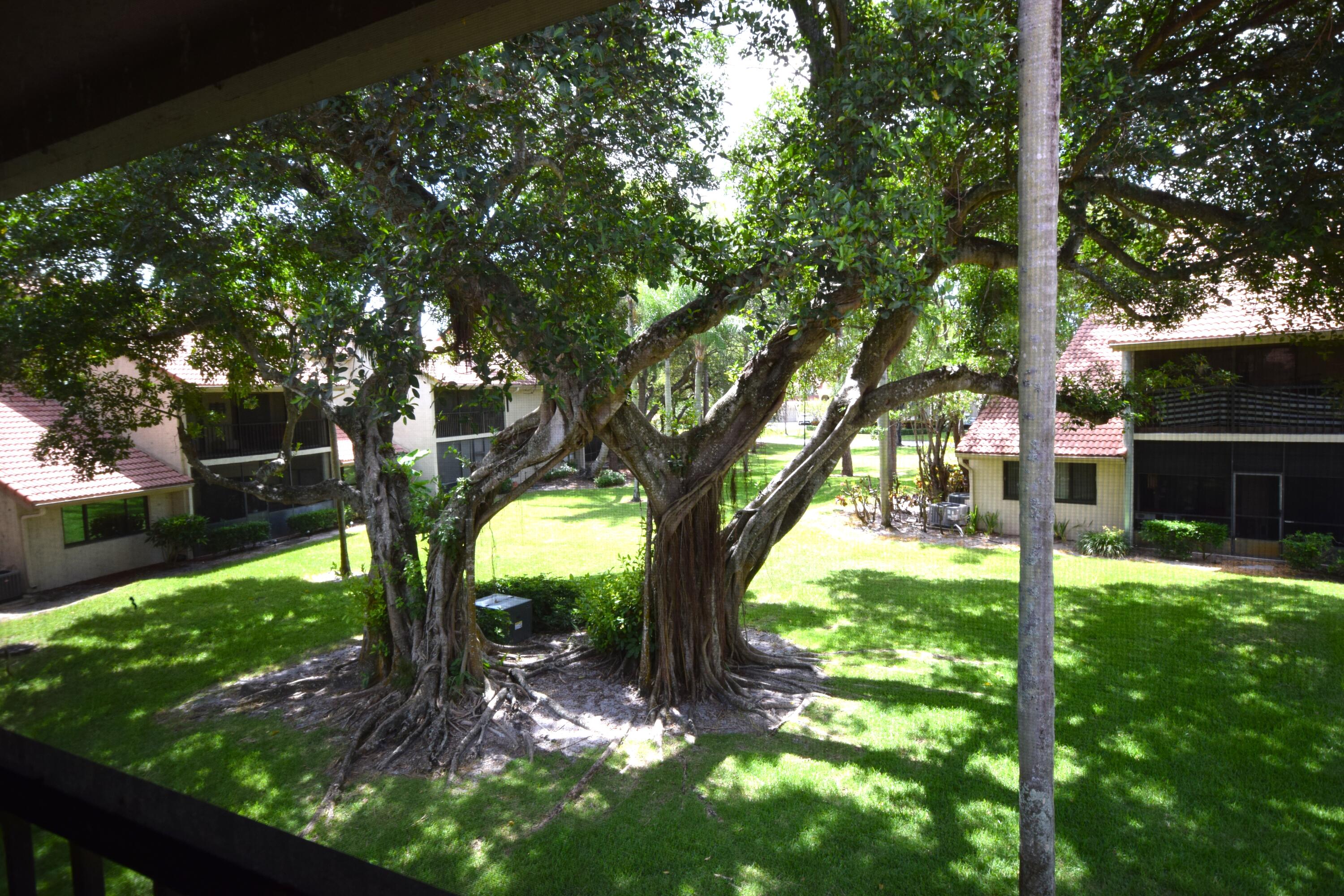 5530 Coach House Circle, Unit E Boca Raton, FL 33486 - Photo 29 of 40 a backyard of a house with table and chairs a large tree