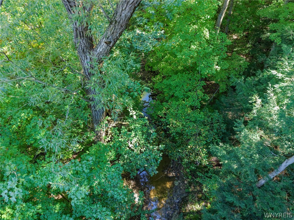 2769 South Roberts Road Sheridan, NY 14062 - Photo 39 of 42 Gallery Image 39