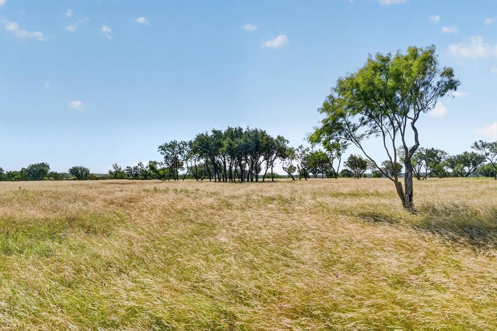 78 Cavalier Road Strawn, TX 76475 - Photo 7 of 39