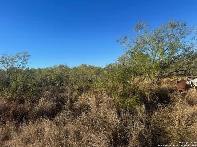 a view of a city with lush green forest