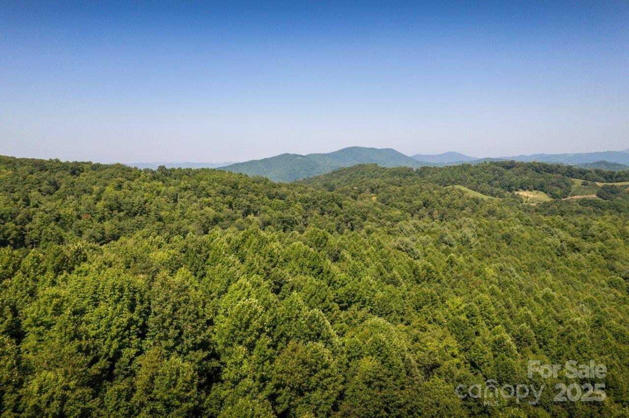 Tbd Flat Springs Road Elk Park, NC 28622 - Photo 11 of 48 a view of a lush green forest with a mountain