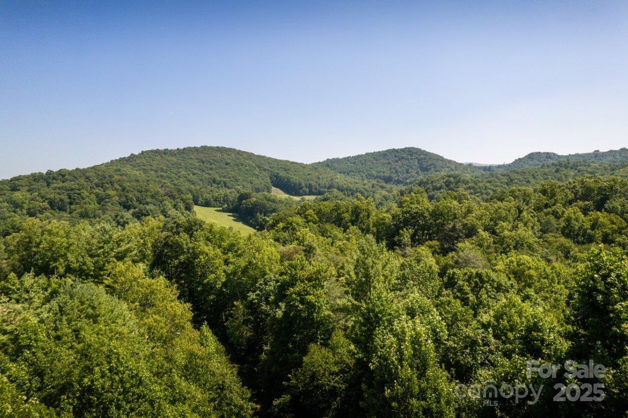 Tbd Flat Springs Road Elk Park, NC 28622 - Photo 13 of 48 a view of a mountain range with lush green forest