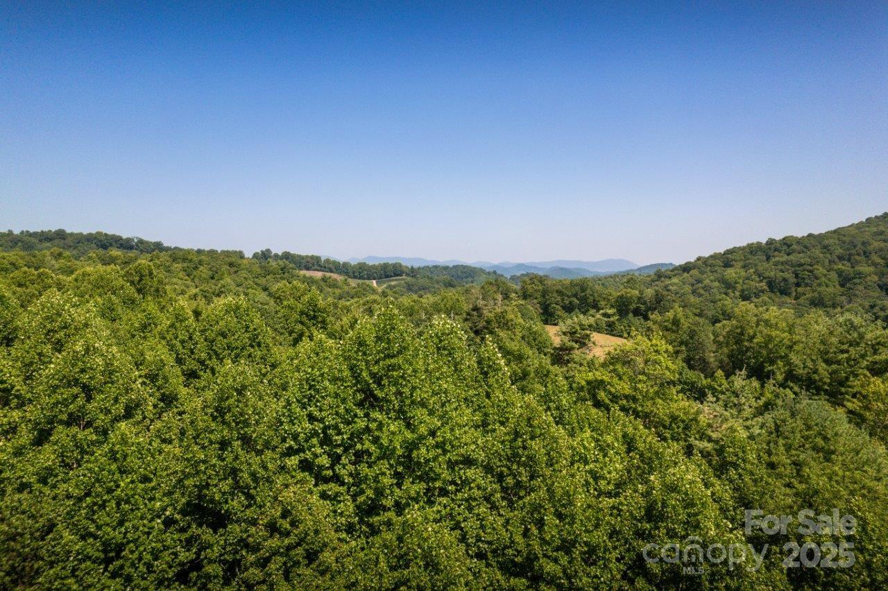 Tbd Flat Springs Road Elk Park, NC 28622 - Photo 14 of 48 a view of a big yard with lots of green space