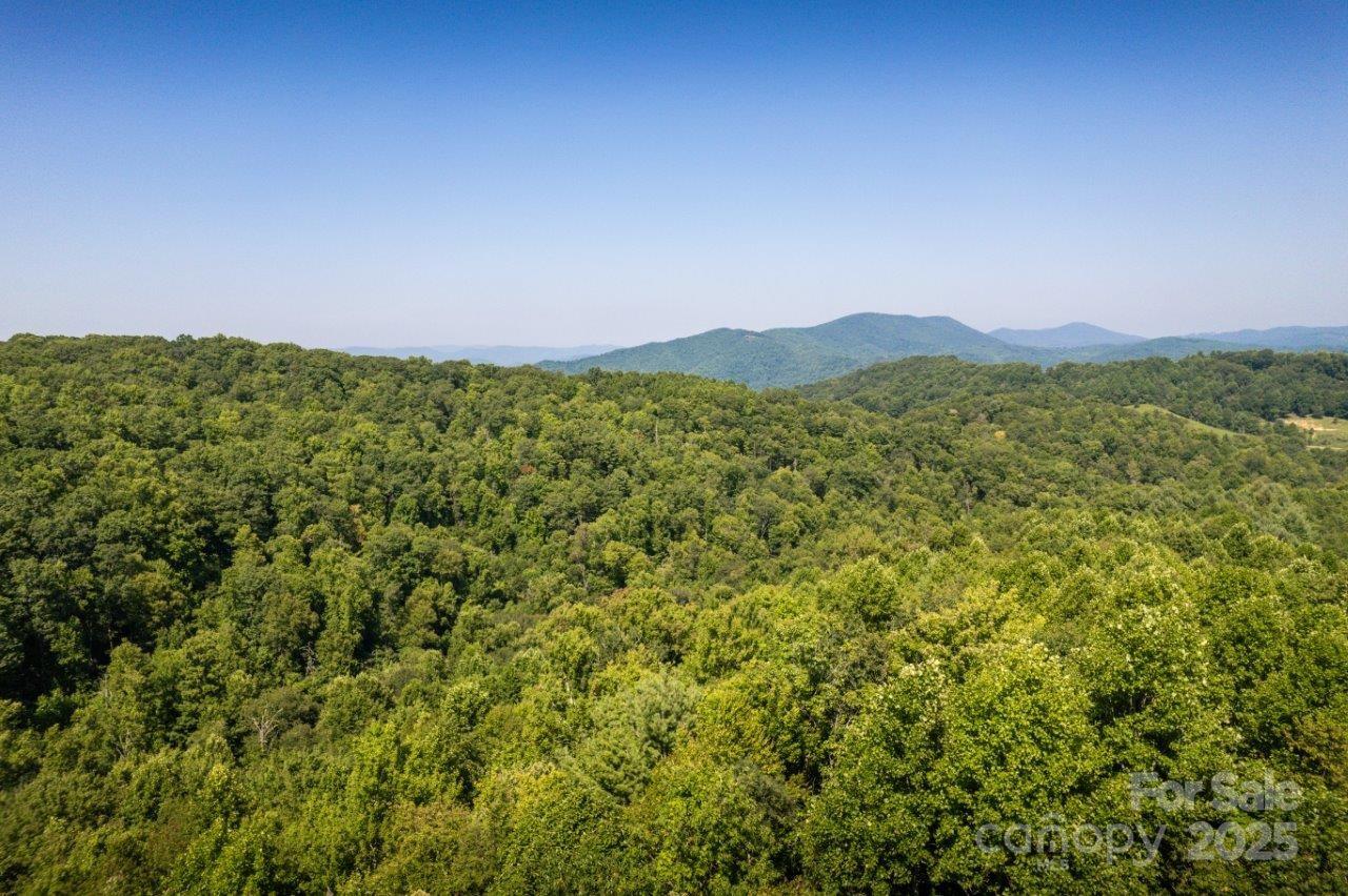 Tbd Flat Springs Road Elk Park, NC 28622 - Photo 15 of 48 a view of a lush green forest with a mountain
