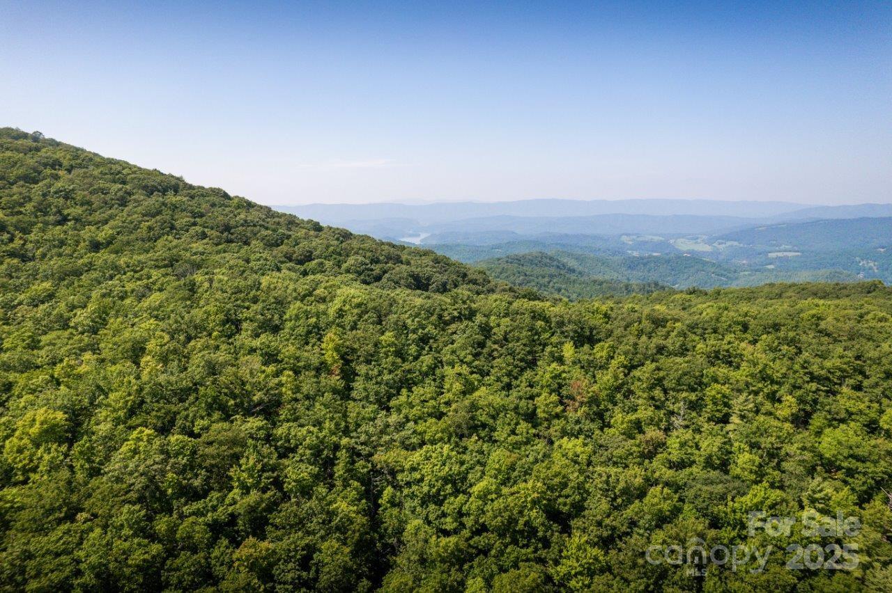 Tbd Flat Springs Road Elk Park, NC 28622 - Photo 16 of 48 a view of a field with a tree in the background