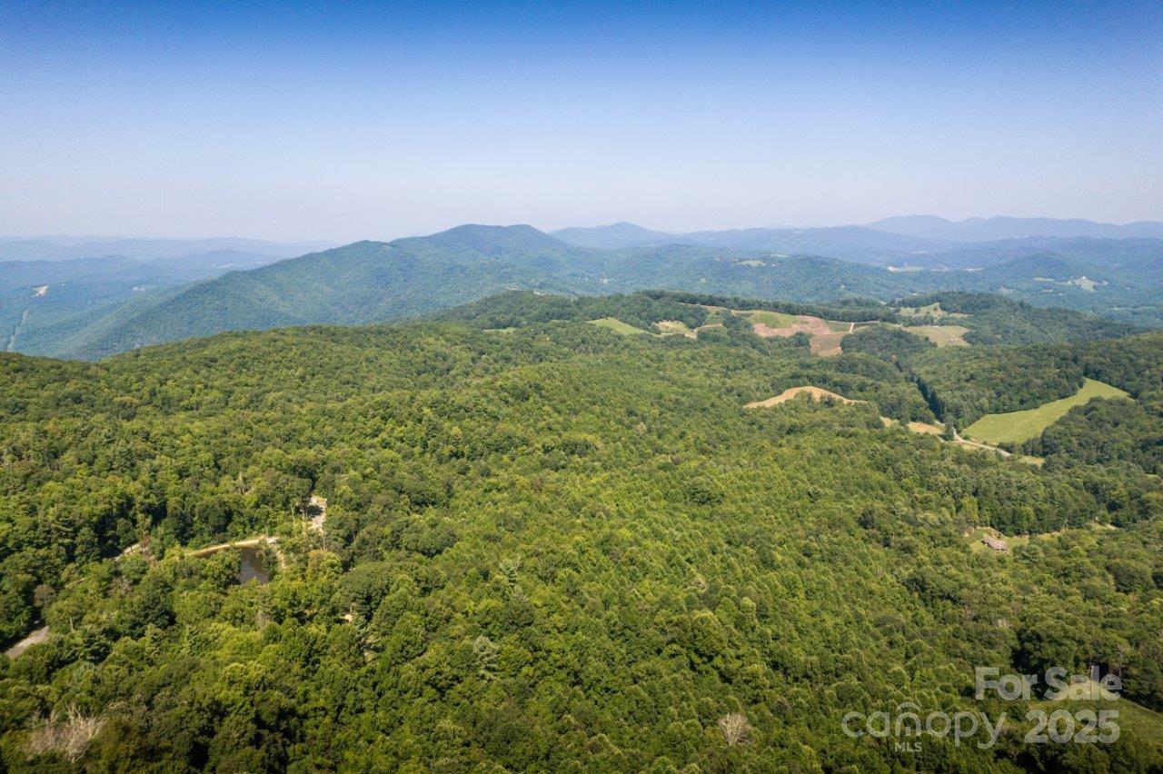 Tbd Flat Springs Road Elk Park, NC 28622 - Photo 18 of 48 a view of a lush green outdoor space with a lake view