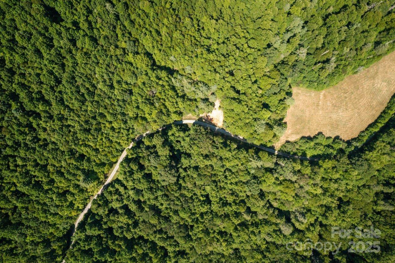 Tbd Flat Springs Road Elk Park, NC 28622 - Photo 19 of 48 a backyard of a house with lots of green space
