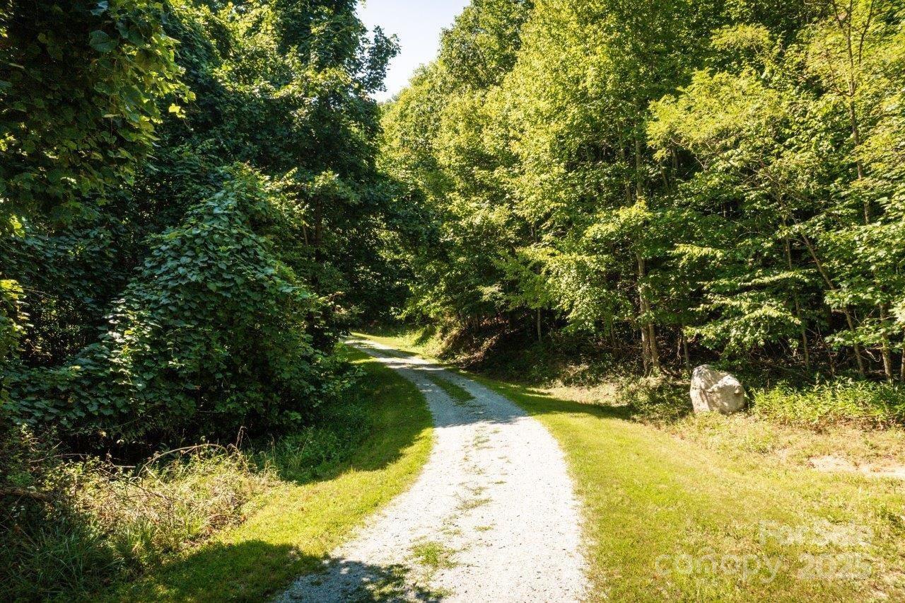 Tbd Flat Springs Road Elk Park, NC 28622 - Photo 21 of 48 a view of swimming pool with a yard