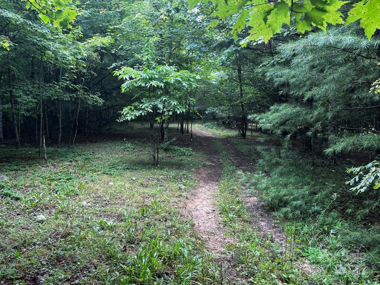 Tbd Flat Springs Road Elk Park, NC 28622 - Photo 22 of 48 a view of outdoor space and yard