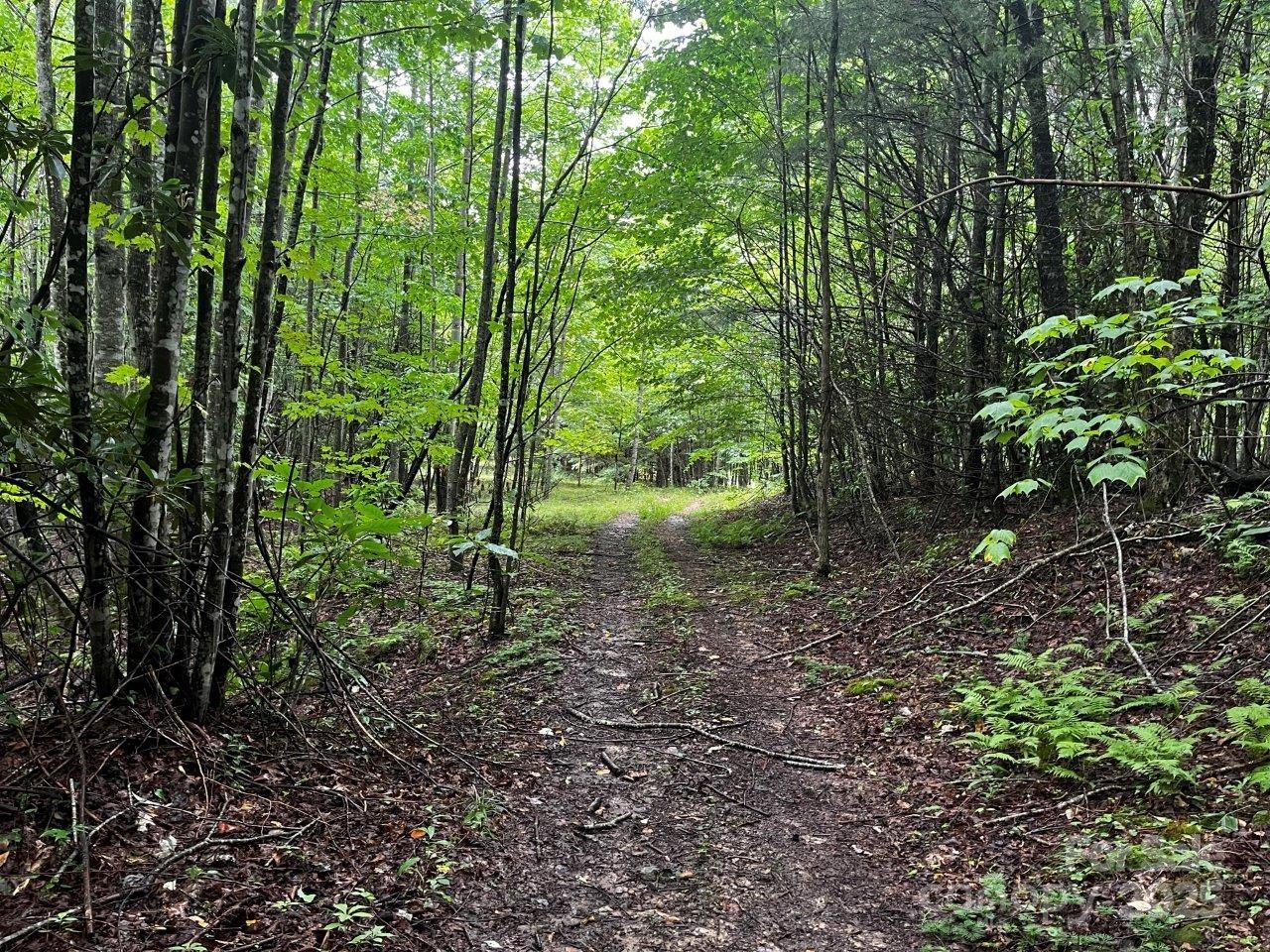 Tbd Flat Springs Road Elk Park, NC 28622 - Photo 23 of 48 a view of outdoor space and trees