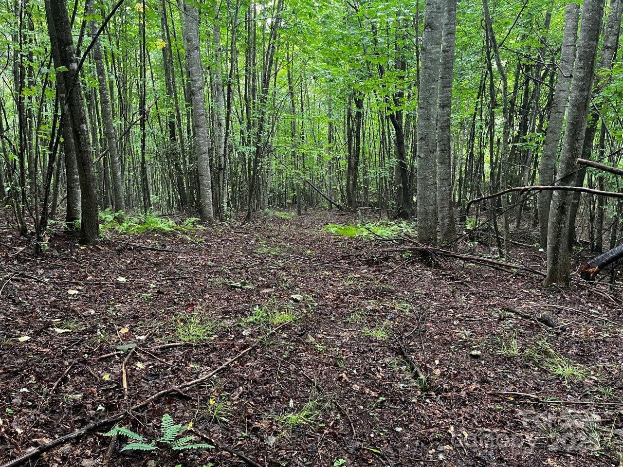 Tbd Flat Springs Road Elk Park, NC 28622 - Photo 24 of 48 a view of outdoor space and green space