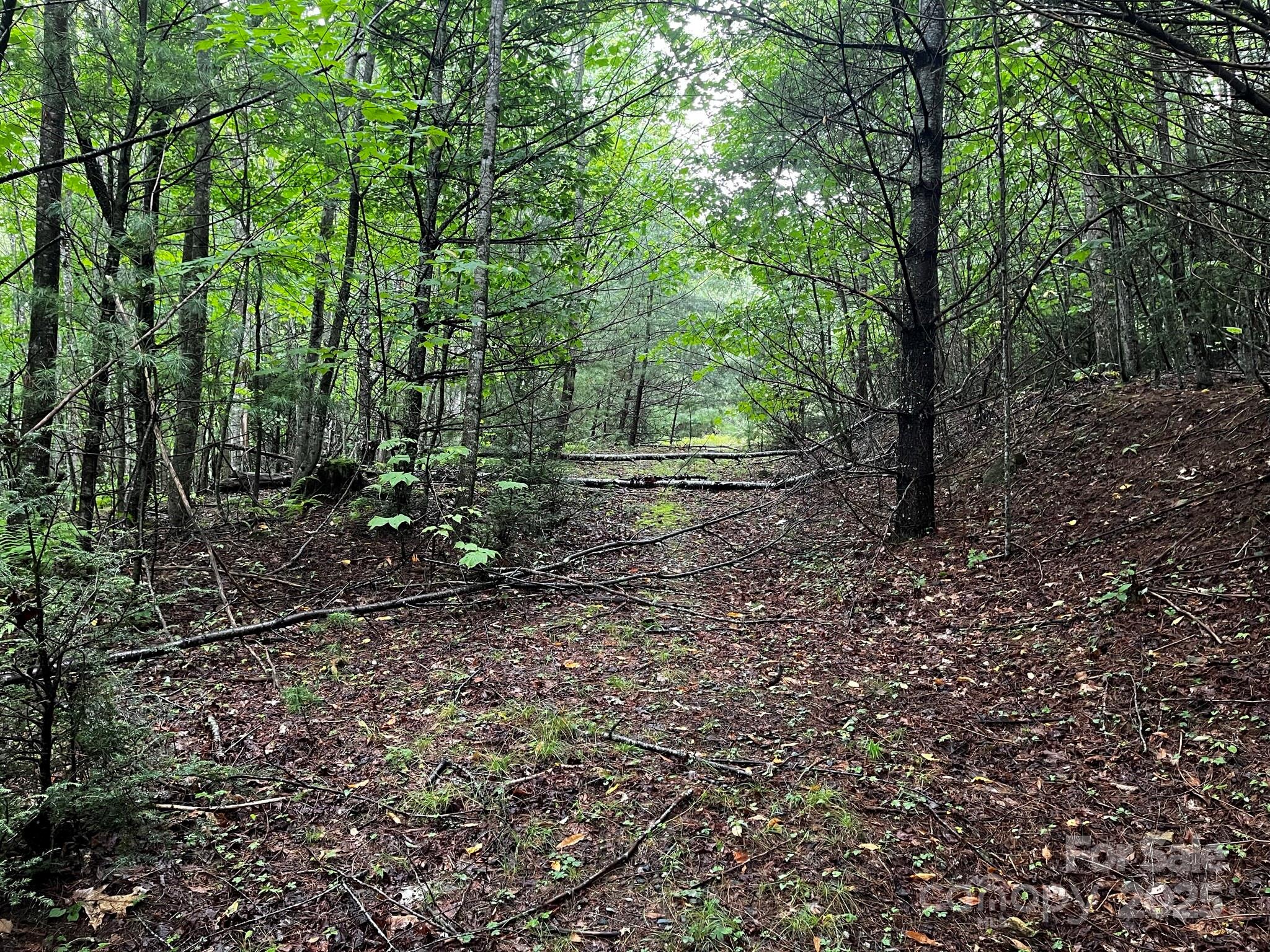 Tbd Flat Springs Road Elk Park, NC 28622 - Photo 29 of 48 a backyard of a house with lots of green space