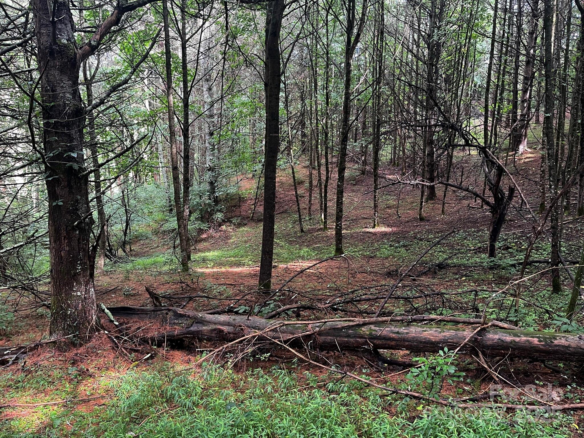 Tbd Flat Springs Road Elk Park, NC 28622 - Photo 31 of 48 a view of a backyard