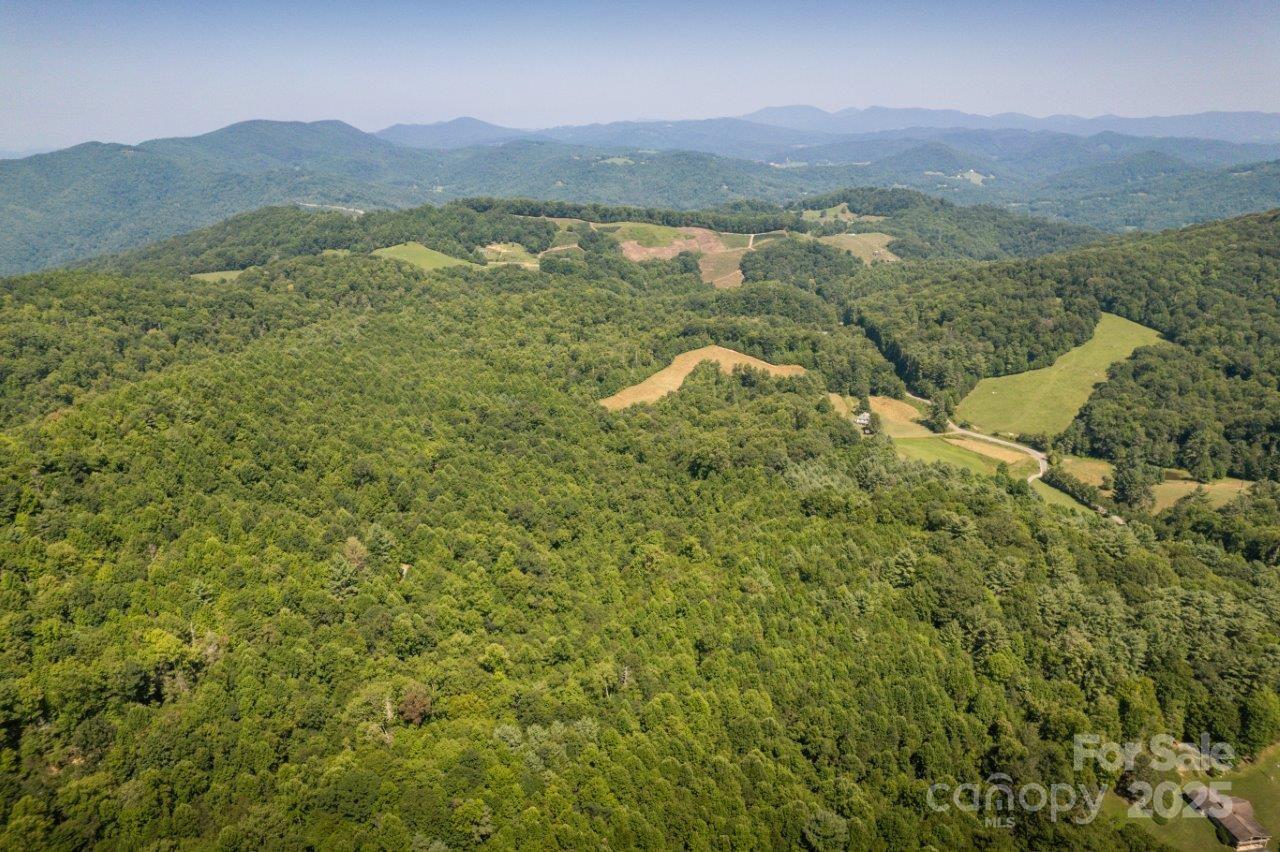 Tbd Flat Springs Road Elk Park, NC 28622 - Photo 4 of 48 a view of a lake with a mountain