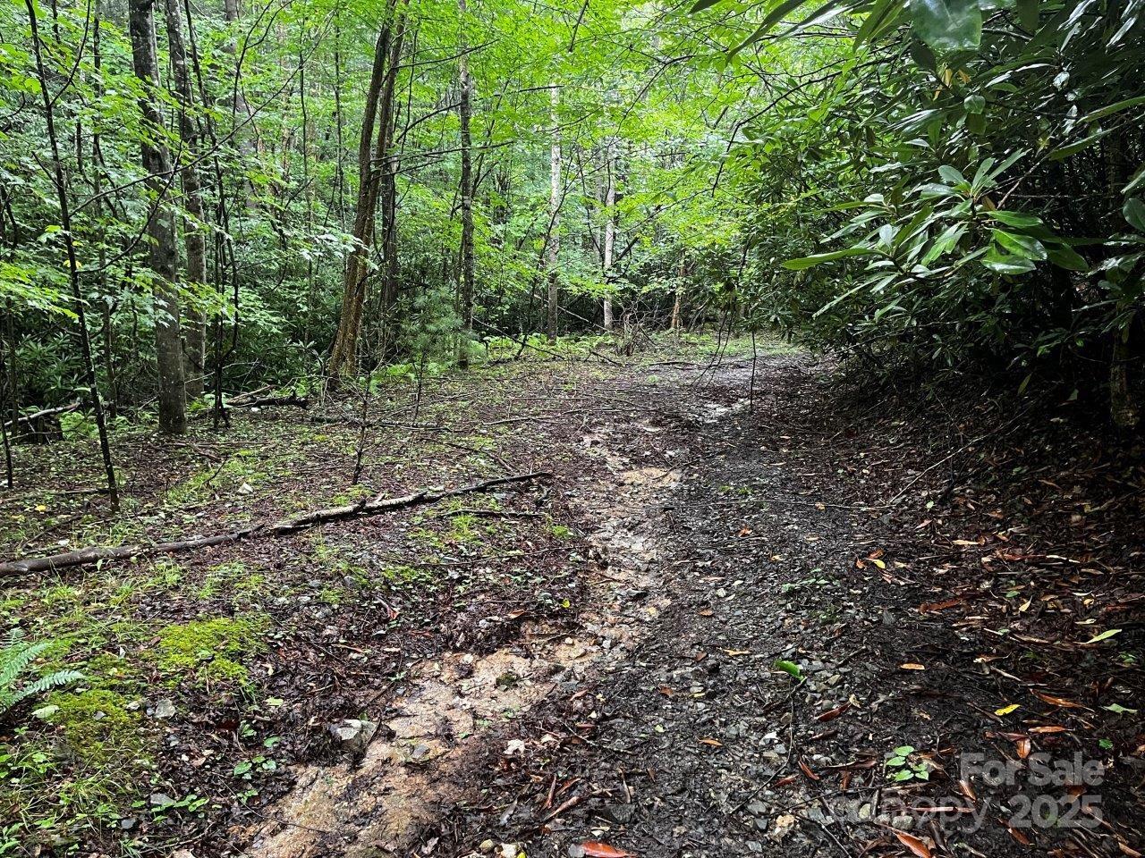 Tbd Flat Springs Road Elk Park, NC 28622 - Photo 45 of 48 a view of outdoor space and trees