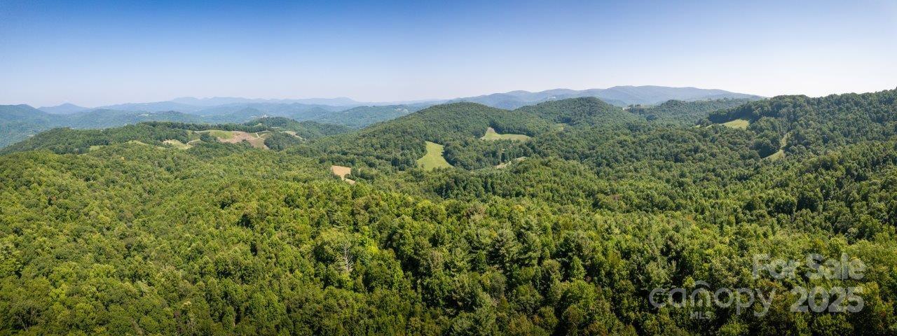 Tbd Flat Springs Road Elk Park, NC 28622 - Photo 48 of 48 a view of a lush green field with a mountain in the background