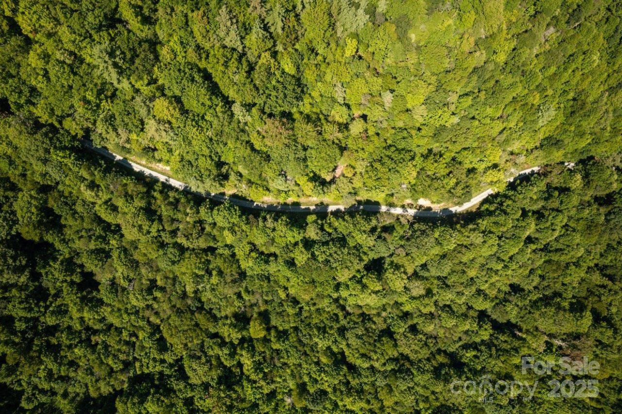 Tbd Flat Springs Road Elk Park, NC 28622 - Photo 5 of 48 a view of a lush green field