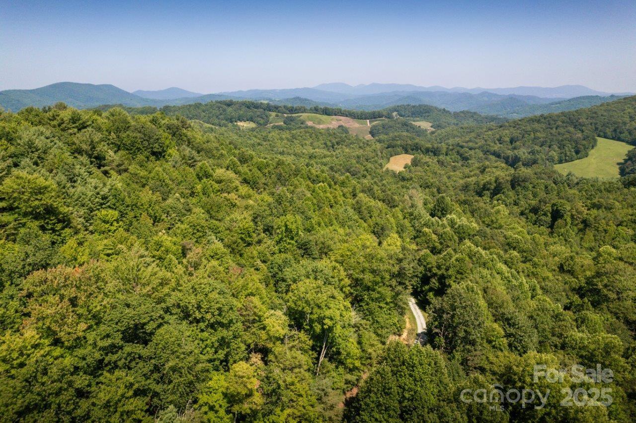 Tbd Flat Springs Road Elk Park, NC 28622 - Photo 6 of 48 a view of a city with lush green forest