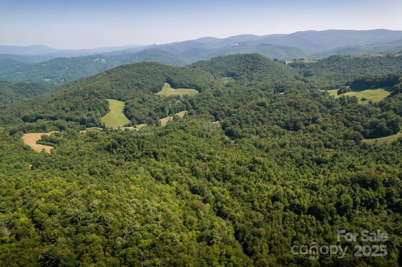 Tbd Flat Springs Road Elk Park, NC 28622 - Photo 7 of 48 a view of a lush green hillside and houses