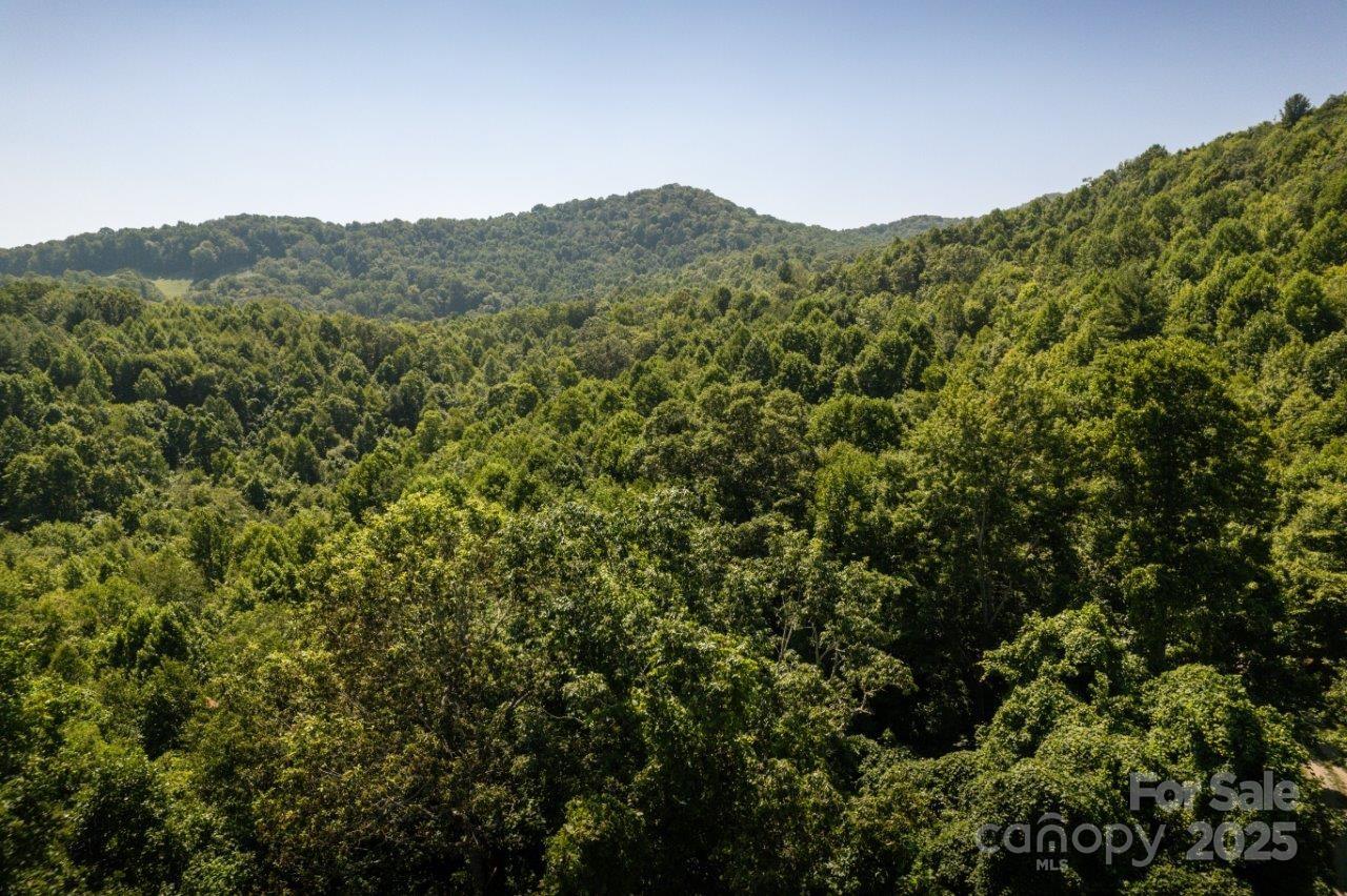 Tbd Flat Springs Road Elk Park, NC 28622 - Photo 8 of 48 a view of a mountain range with lush green forest