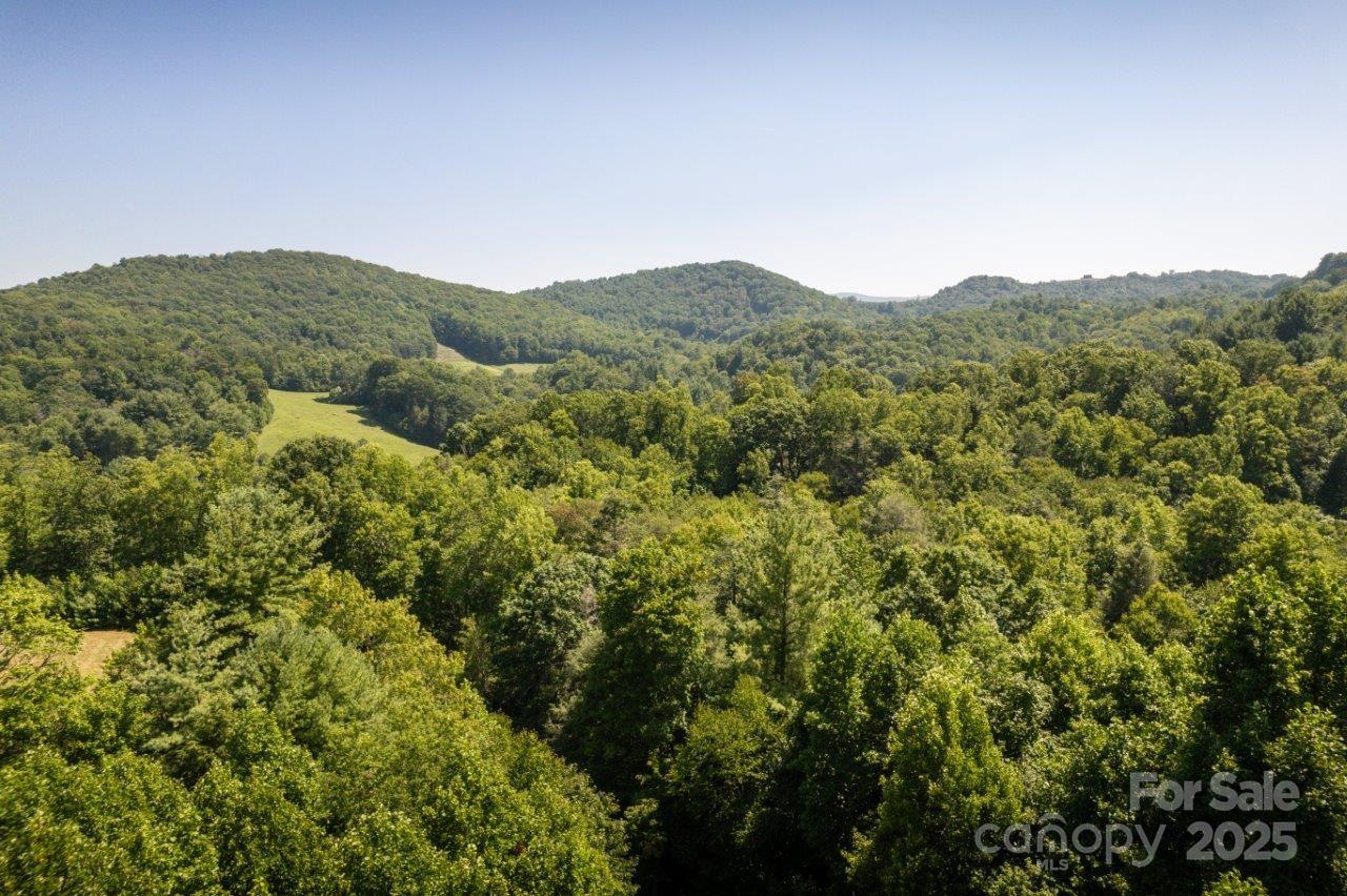 Tbd Flat Springs Road Elk Park, NC 28622 - Photo 9 of 48 a view of a mountain range with trees in the background