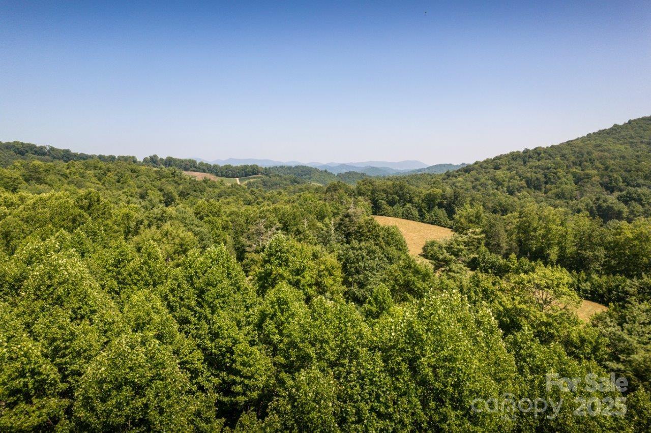 Tbd Flat Springs Road Elk Park, NC 28622 - Photo 10 of 48 a view of a field with a mountain in the background
