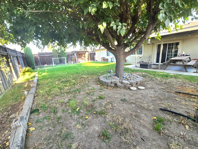a view of a yard with large tree and wooden fence