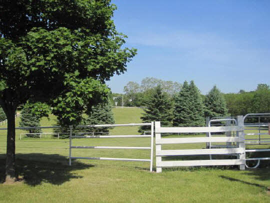 6966 North Marrill Road Byron, IL 61010 - Photo 11 of 11 a view of a garden with an outdoor space