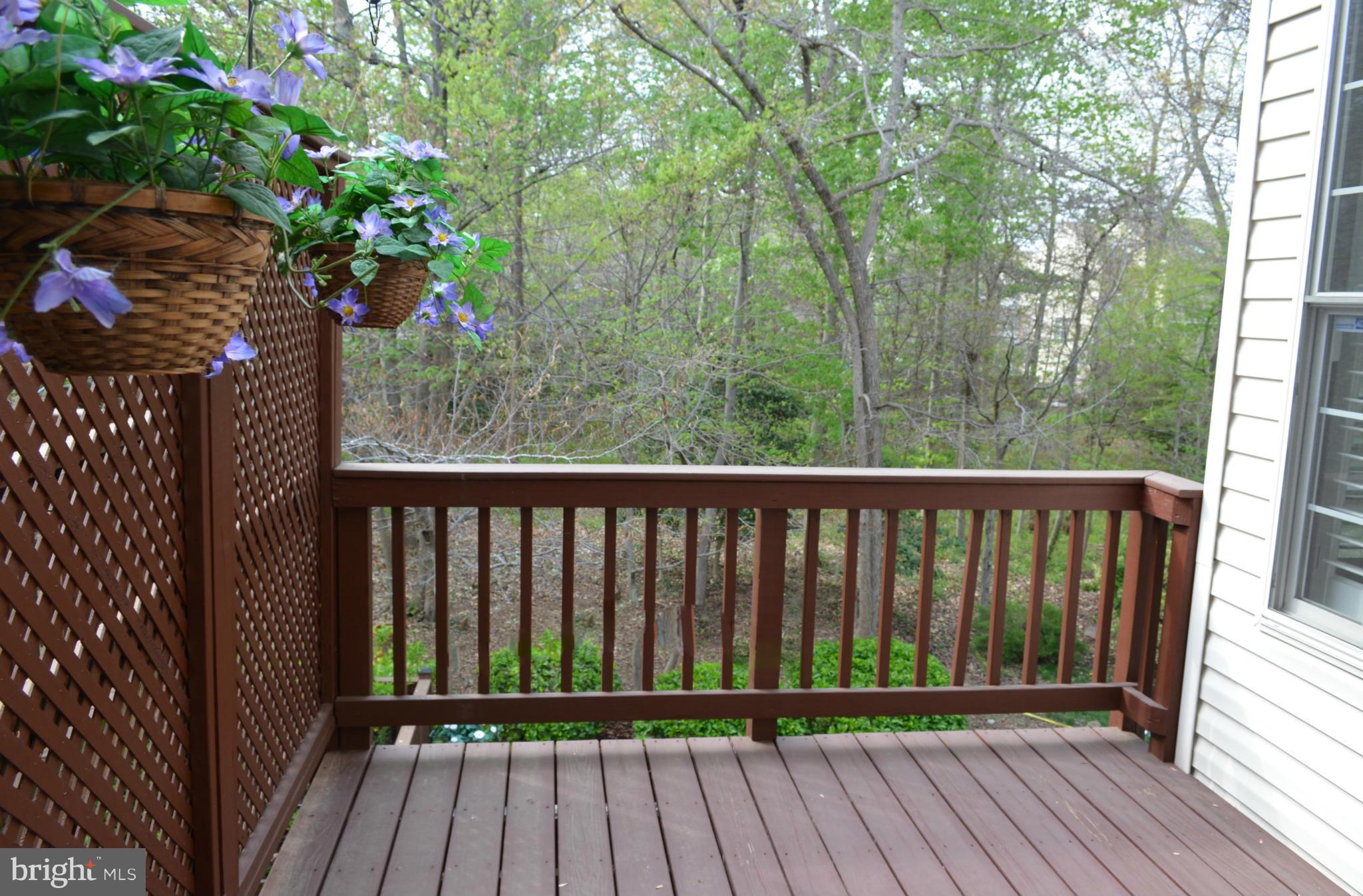 205 Tilden Way Edgewater, MD 21037 - Photo 16 of 28 Exterior (Rear)