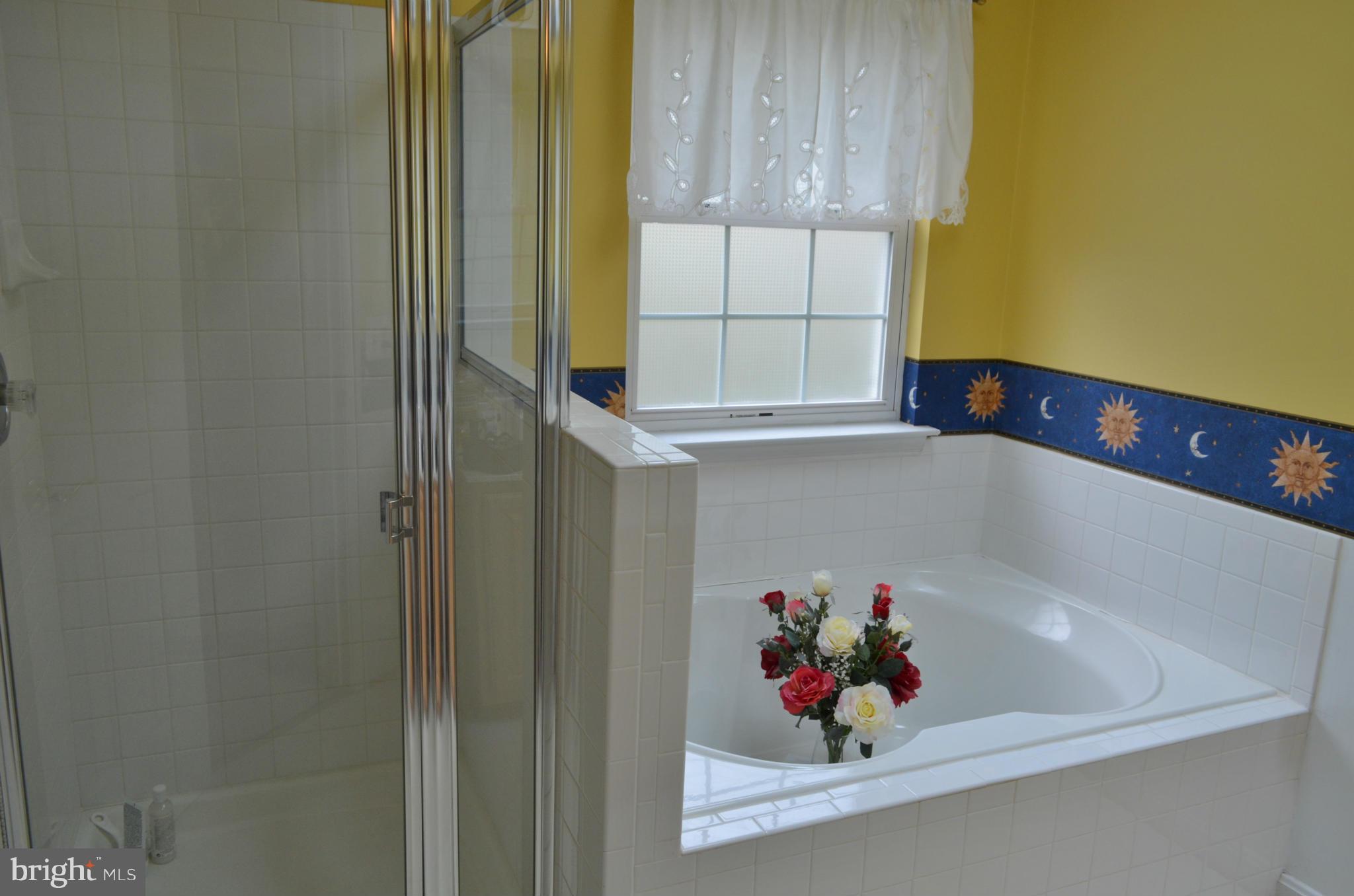 205 Tilden Way Edgewater, MD 21037 - Photo 20 of 28 Bath (Master)