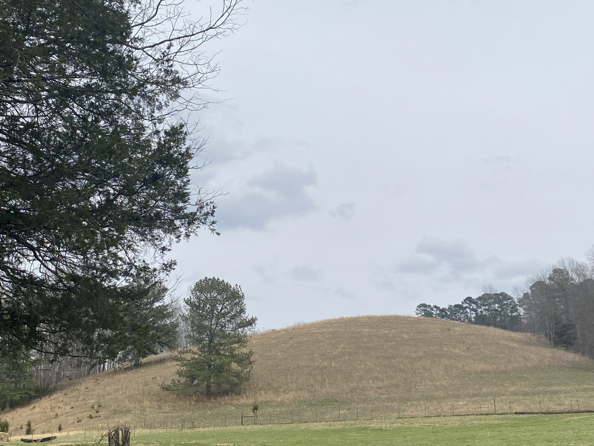 0 Powell School Road Goodspring, TN 38460 - Photo 5 of 16 a view of ocean