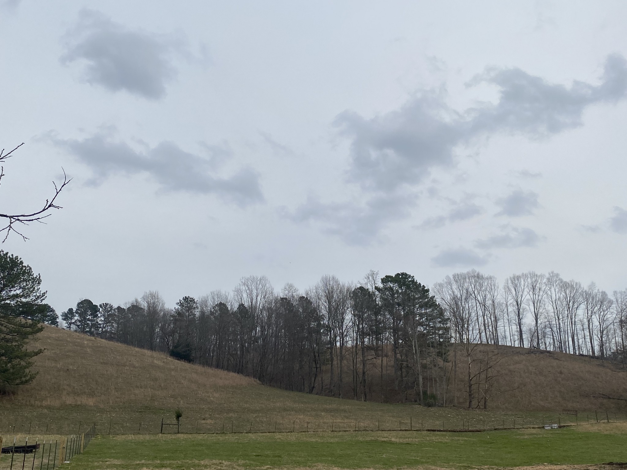 0 Powell School Road Goodspring, TN 38460 - Photo 7 of 16