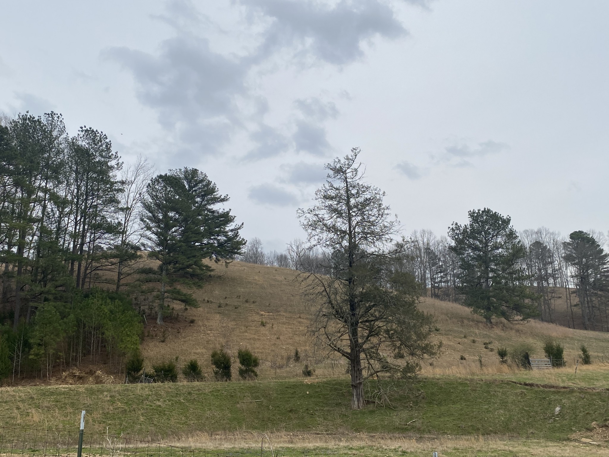 0 Powell School Road Goodspring, TN 38460 - Photo 8 of 16 a view of a town with trees