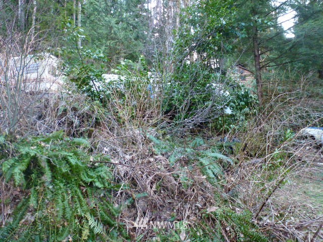 52608 South Riverside Road Gold Bar, WA 98251 - Photo 14 of 20