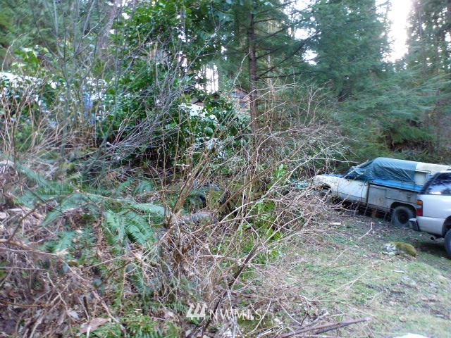 52608 South Riverside Road Gold Bar, WA 98251 - Photo 15 of 20