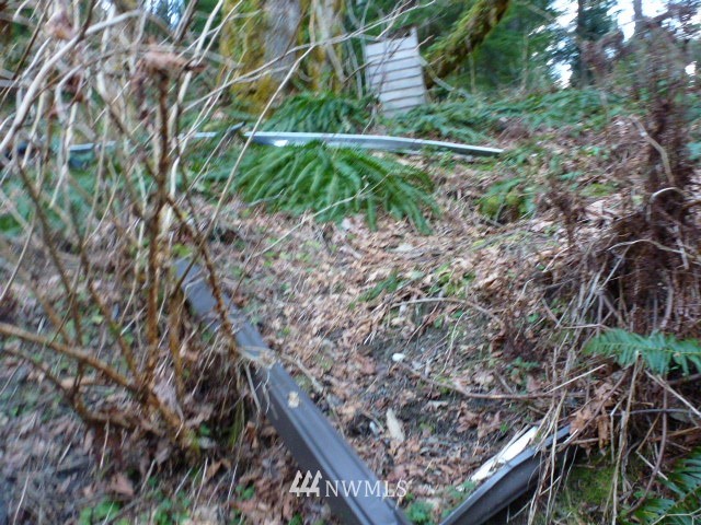 52608 South Riverside Road Gold Bar, WA 98251 - Photo 19 of 20