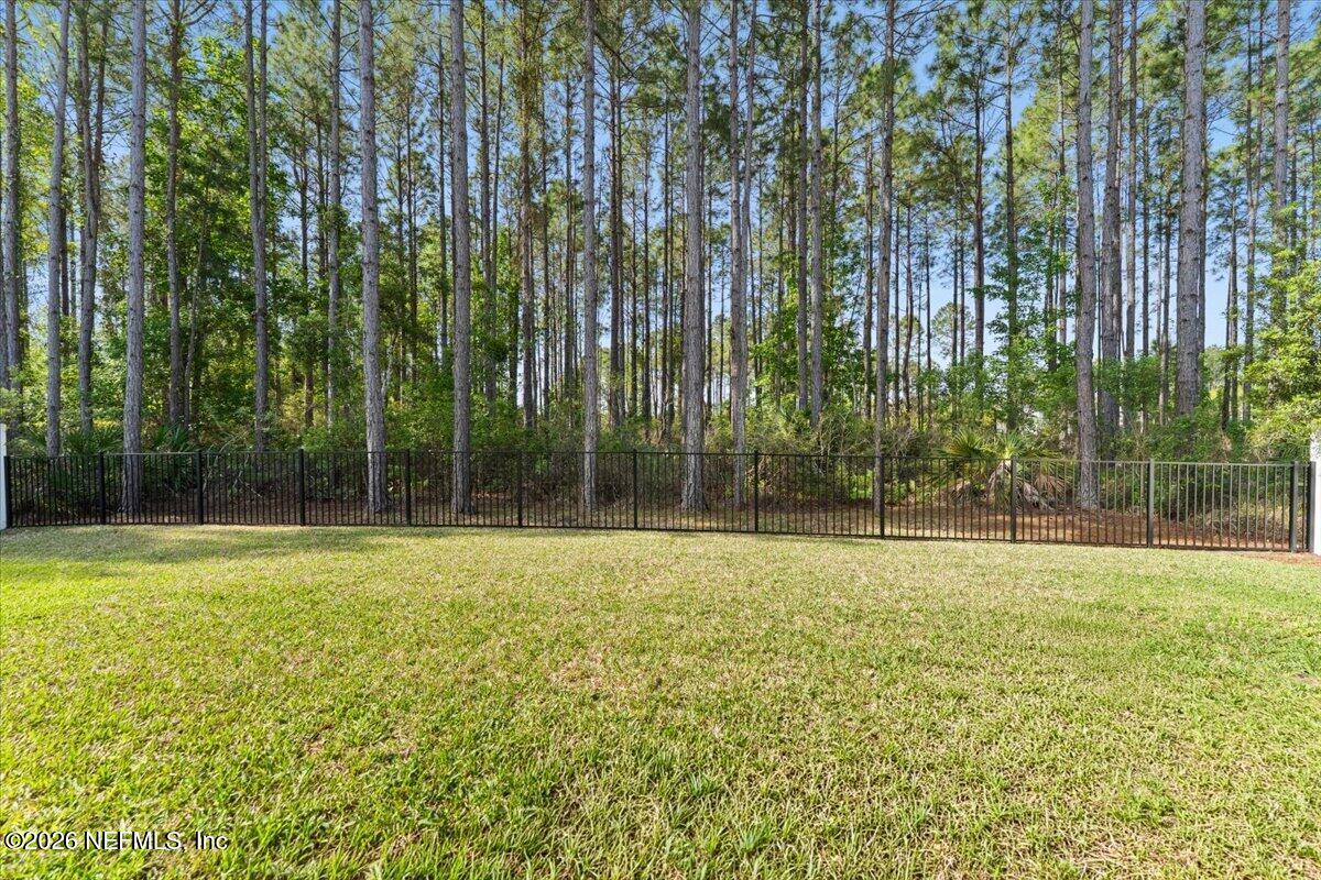 27 Cloverbrook Road St. Johns, FL 32259 - Photo 29 of 32 backyard