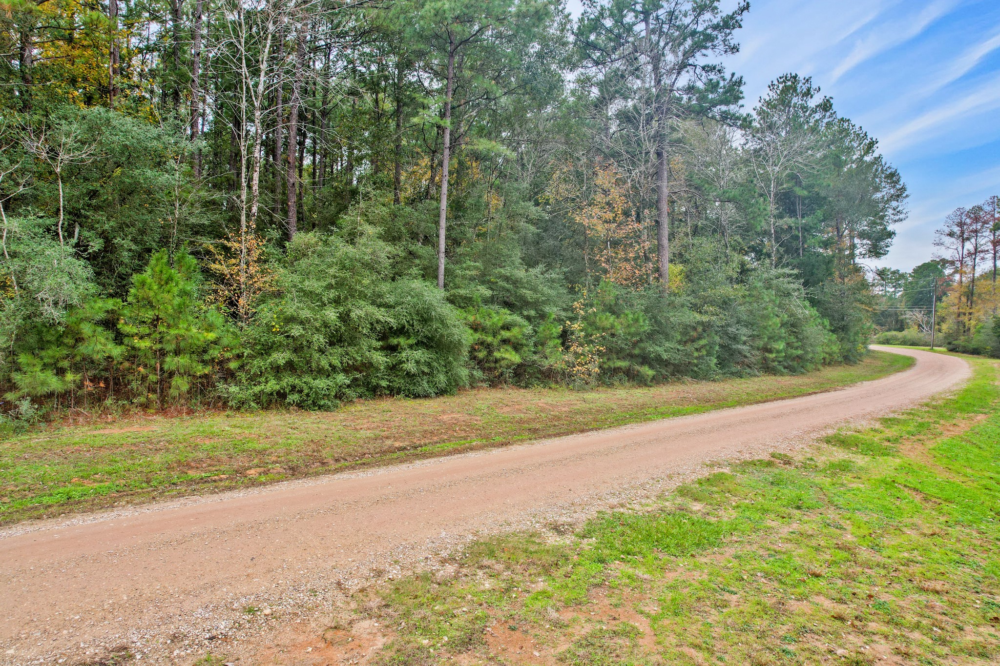 0 Belinowski Road New Waverly, TX 77358 - Photo 6 of 10