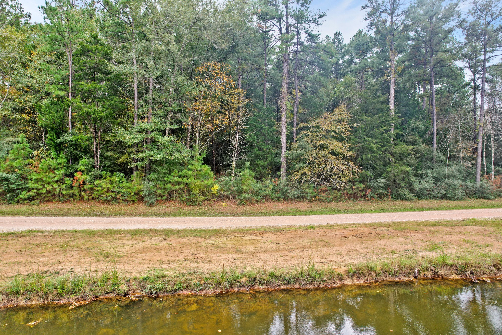 0 Belinowski Road New Waverly, TX 77358 - Photo 9 of 10