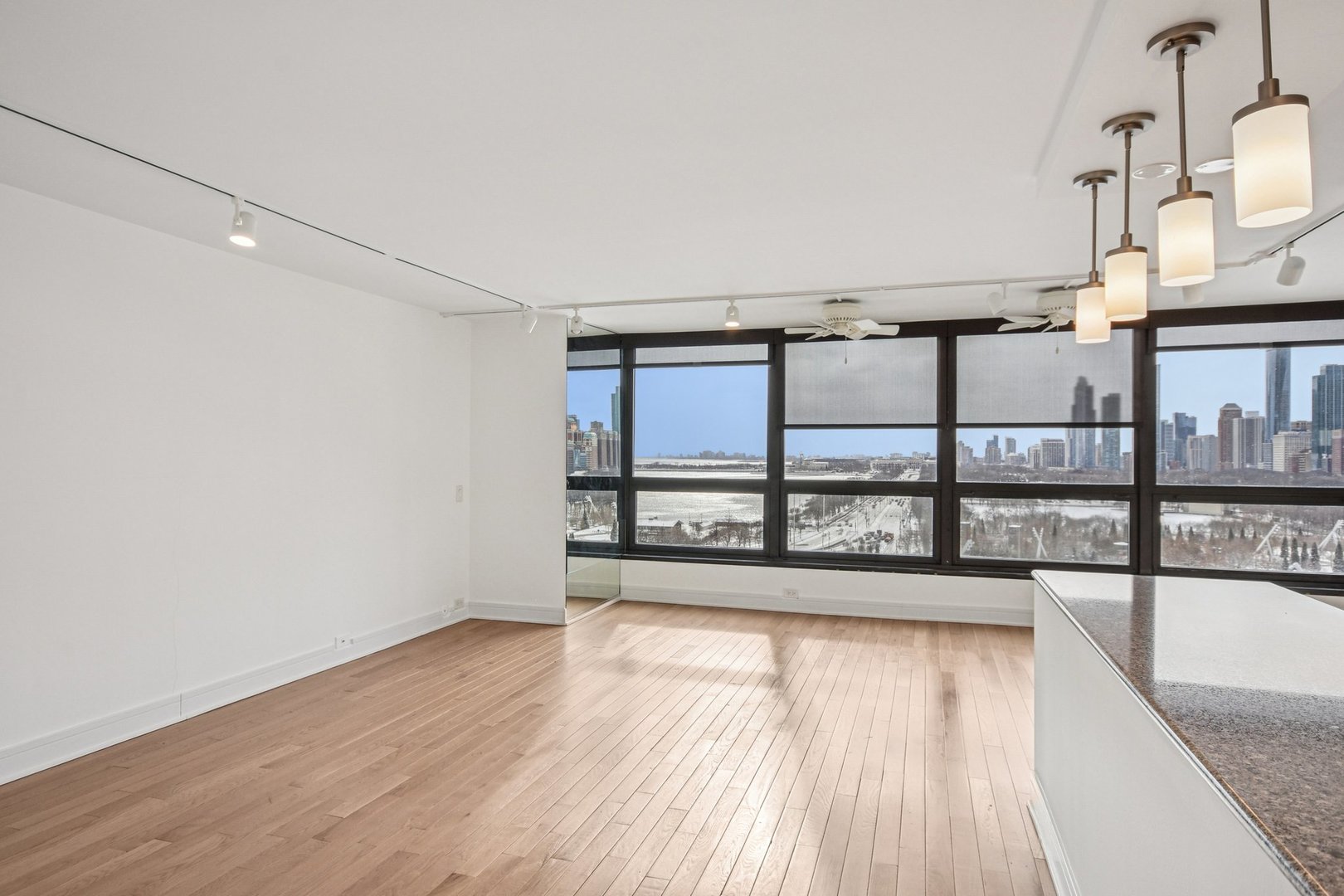360 East Randolph Street, Unit 1102 Chicago, IL 60601 - Photo 4 of 27